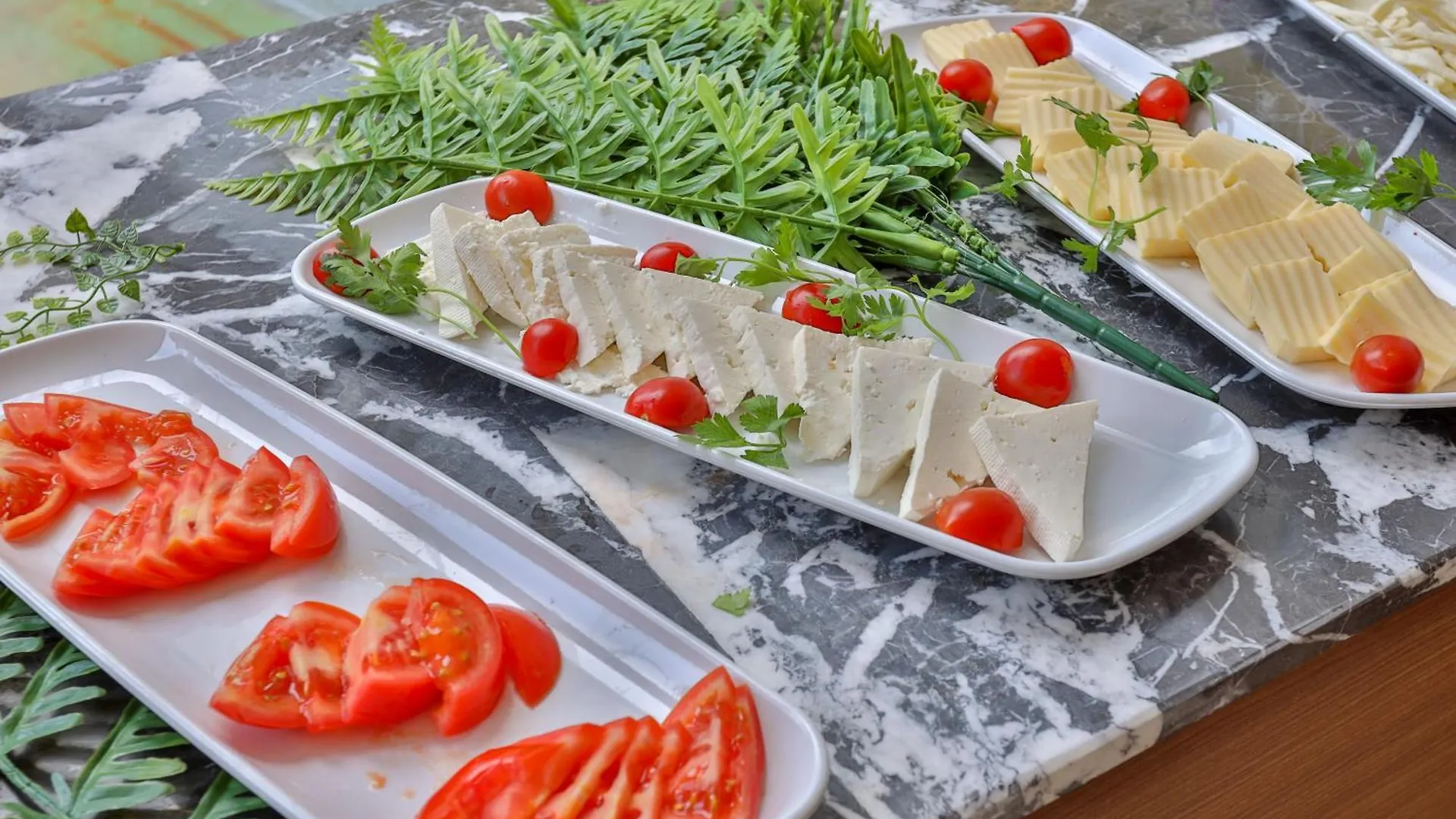 Wolf Of The City Hotel & Spa Antalya
