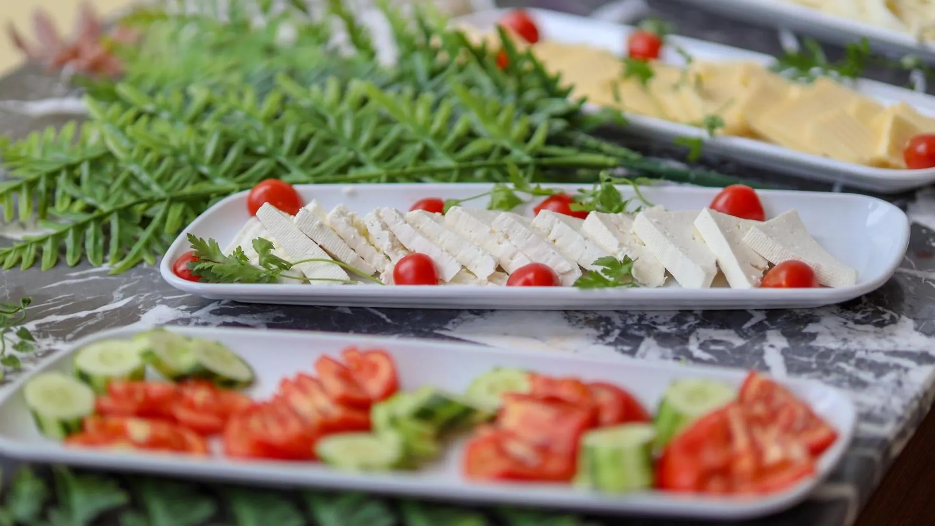 Wolf Of The City Hotel & Spa Antalya